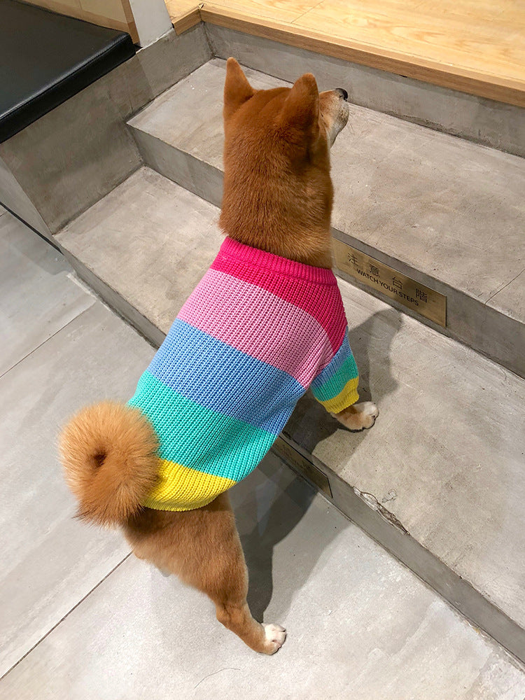 Puppy Knitted Rainbow Sweater