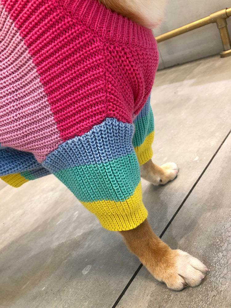 Puppy Knitted Rainbow Sweater